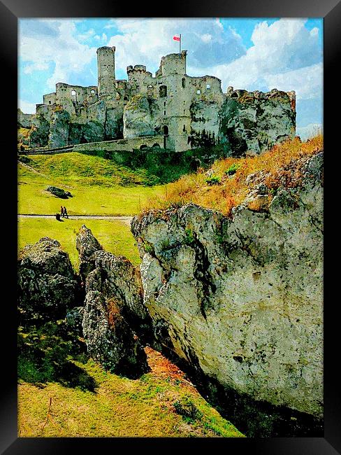  ogrodzieniec castle,poland Framed Print by dale rys (LP)