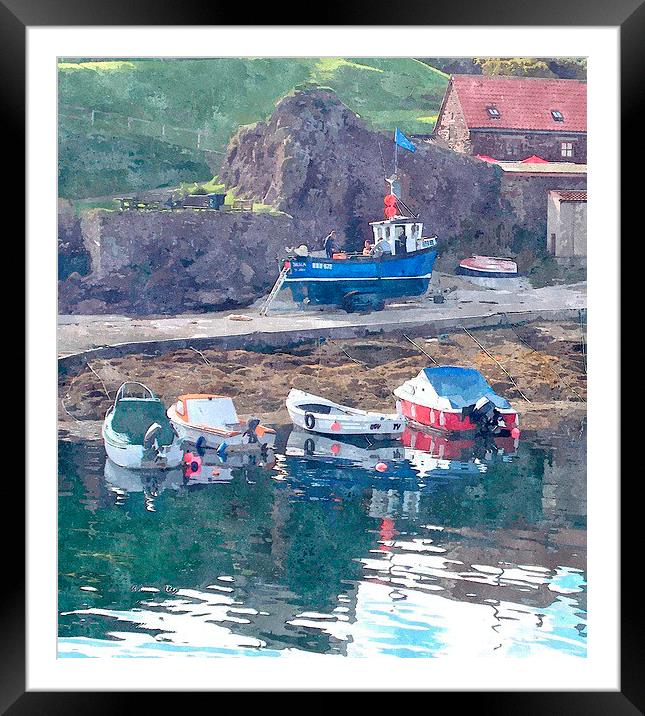  st.abbs head,scotland  Framed Mounted Print by dale rys (LP)