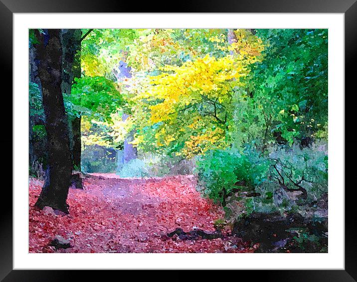  fall shot with alittle color....  Framed Mounted Print by dale rys (LP)