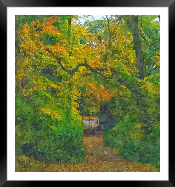  fall shot with alittle color....  Framed Mounted Print by dale rys (LP)