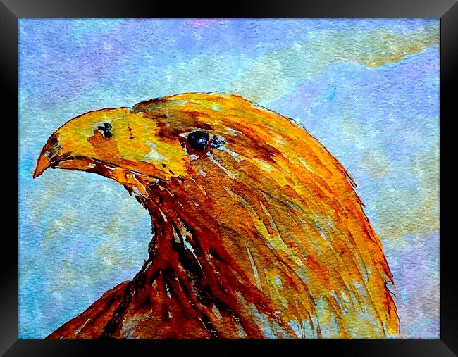 bird of gold Framed Print by dale rys (LP)