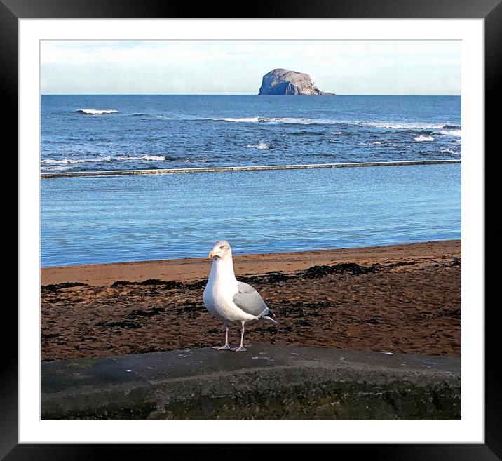 north berwick view 2 Framed Mounted Print by dale rys (LP)