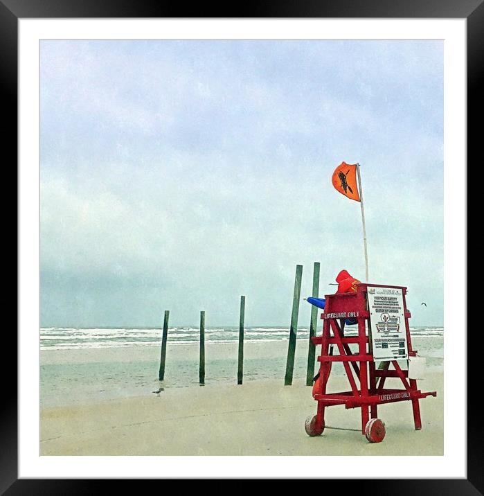 day at the beach Framed Mounted Print by dale rys (LP)