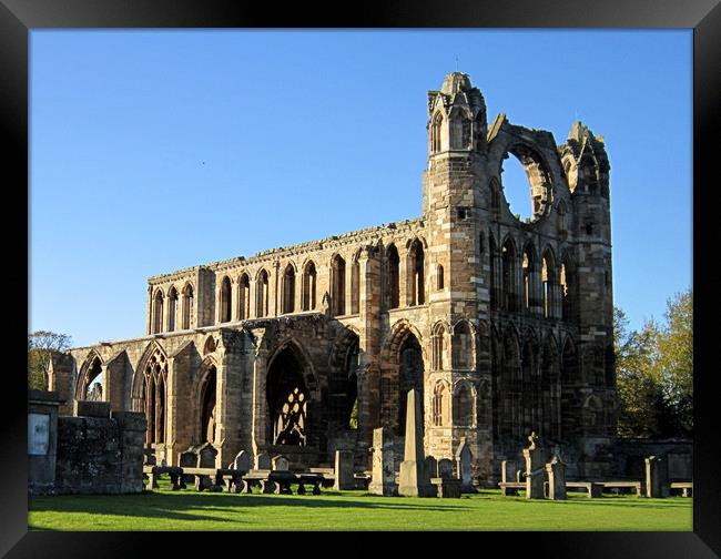 elgin cathedral  Framed Print by dale rys (LP)