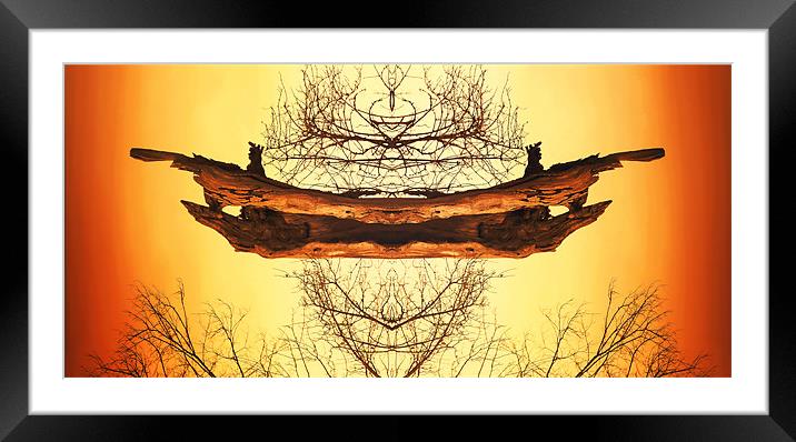 Tree Man Framed Mounted Print by Andrew Bailey