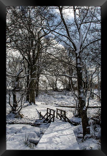 Snowy Bridge Framed Print by Michael Moverley