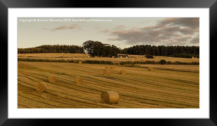 Haybales in the Sun Framed Mounted Print by Michael Moverley