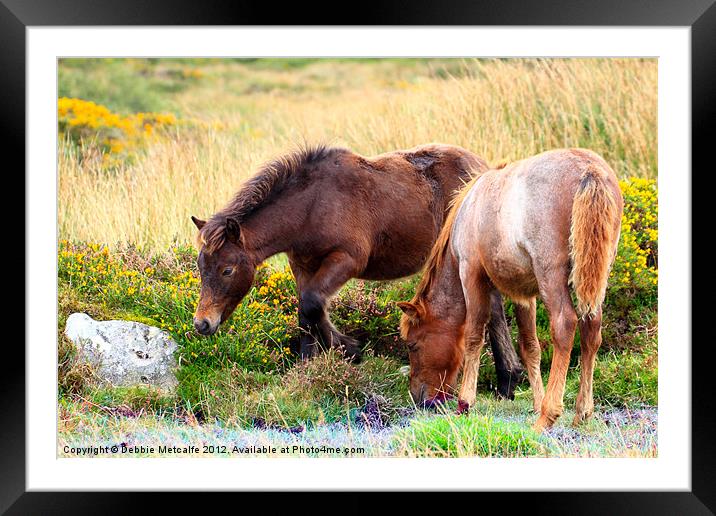 Ponies on Dartmoor Framed Mounted Print by Debbie Metcalfe