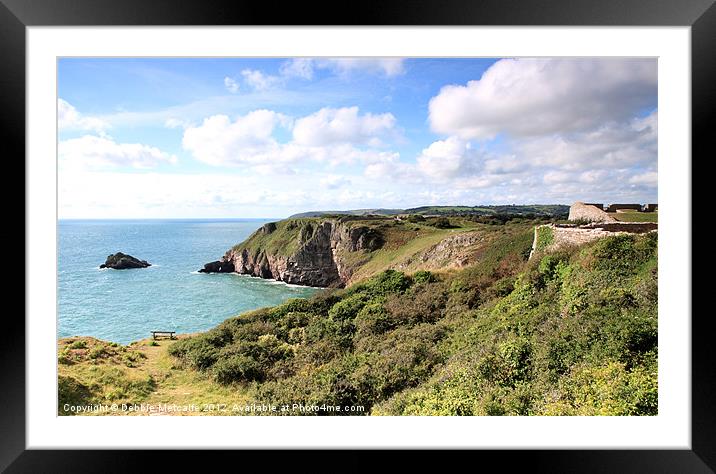 Berryhead National Nature Reserve Framed Mounted Print by Debbie Metcalfe