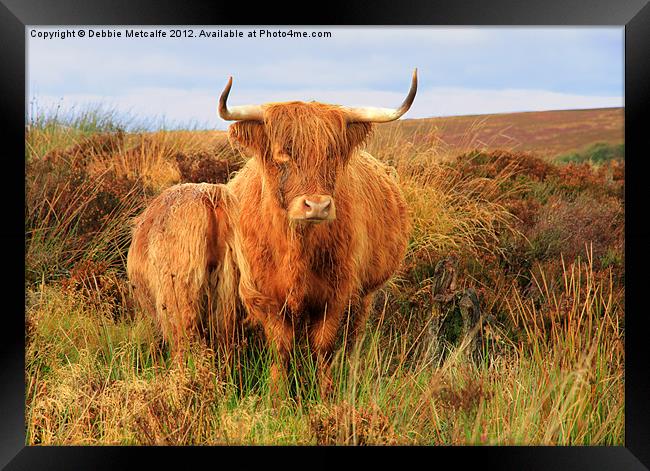 Highland Cow & baby Framed Print by Debbie Metcalfe