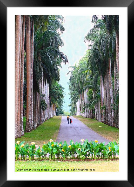 Avenue of trees, Kandy, Sri Lanka Framed Mounted Print by Debbie Metcalfe