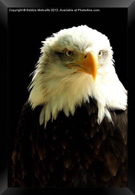 Bald Eagle Framed Print by Debbie Metcalfe
