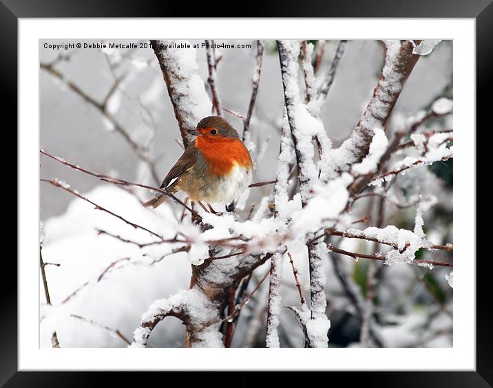 Robin in the snow Framed Mounted Print by Debbie Metcalfe
