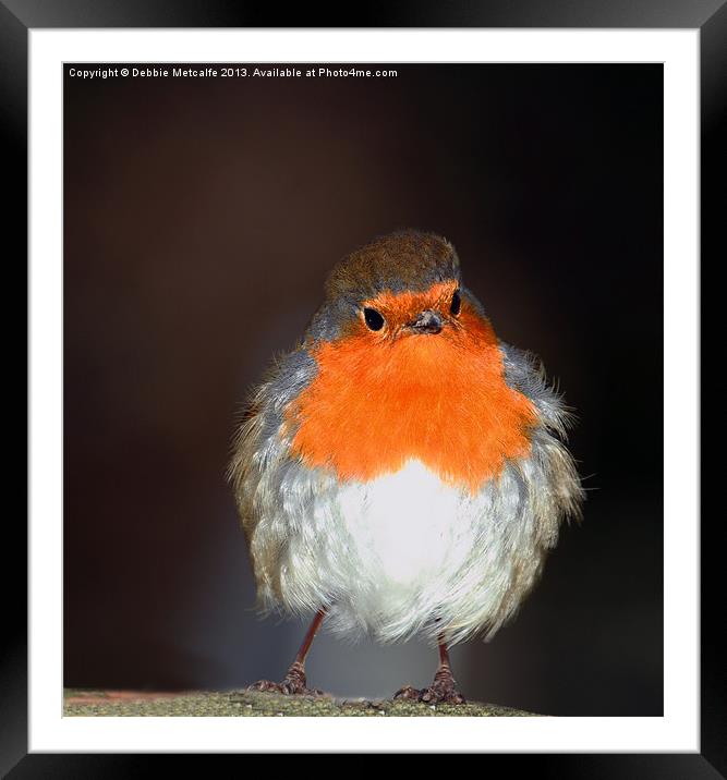 Fluffy Robin Framed Mounted Print by Debbie Metcalfe