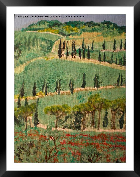  countryside in tuscany Framed Mounted Print by ann  fellows