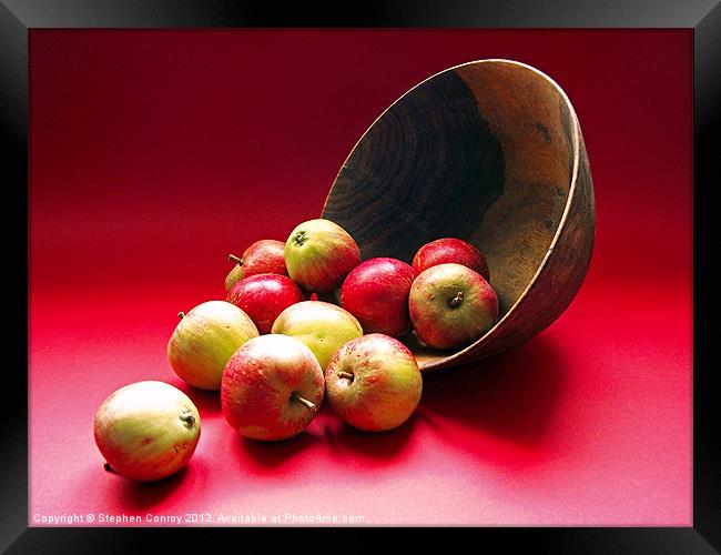 Tumbling Apples on Red Background Framed Print by Stephen Conroy