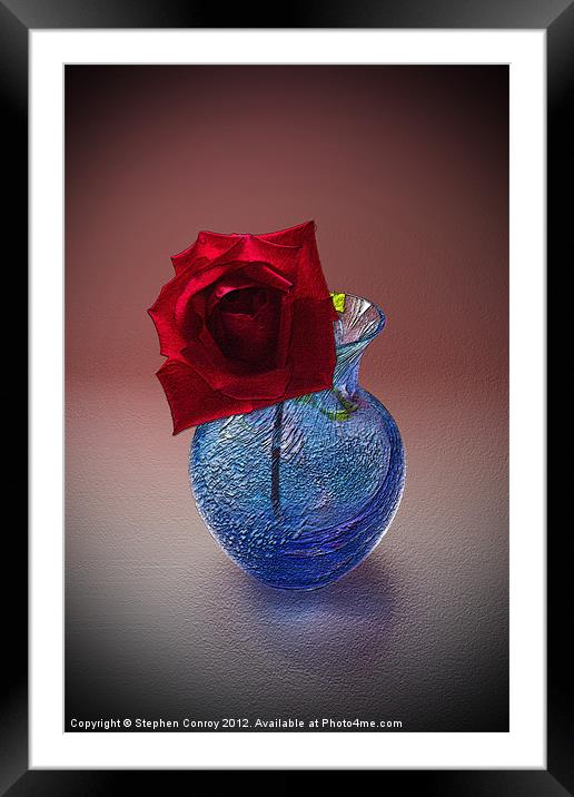 Still Life with Red Rose Framed Mounted Print by Stephen Conroy