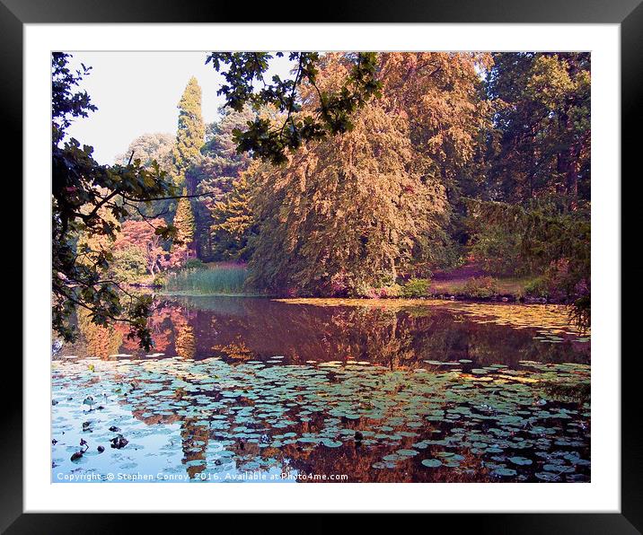 Sunlight on Coffin Lake Framed Mounted Print by Stephen Conroy