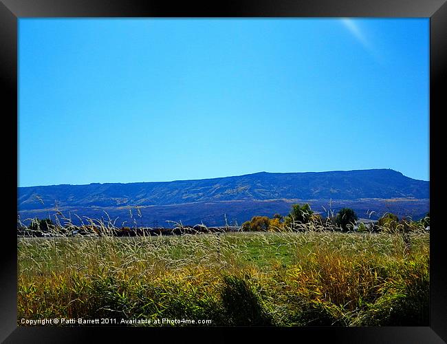 Grand Mesa in October Framed Print by Patti Barrett