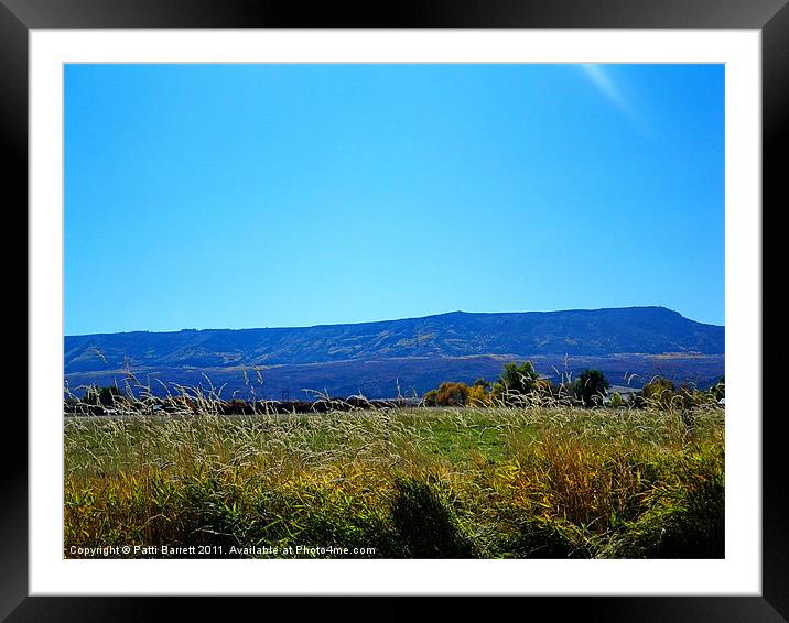 Grand Mesa in October Framed Mounted Print by Patti Barrett