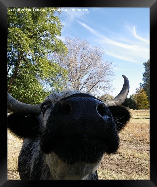 Cow asking for pet Framed Print by Patti Barrett