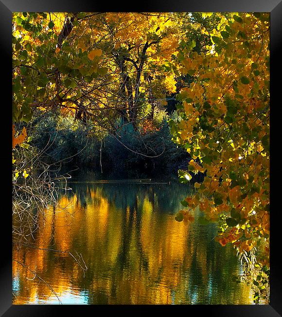 Lake in Fall Reflections Framed Print by Patti Barrett
