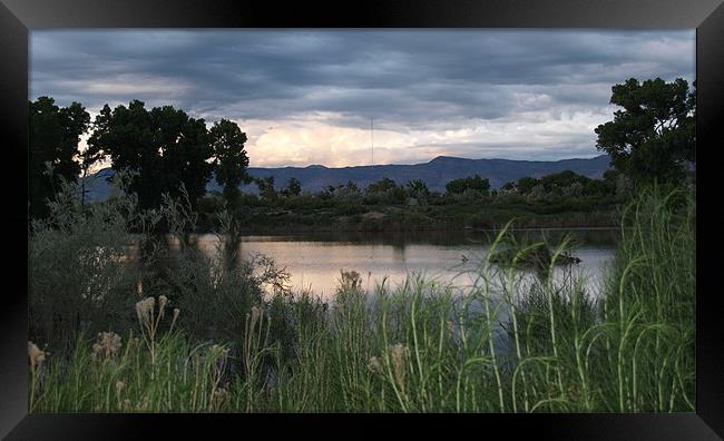 Duck Lake Framed Print by Patti Barrett