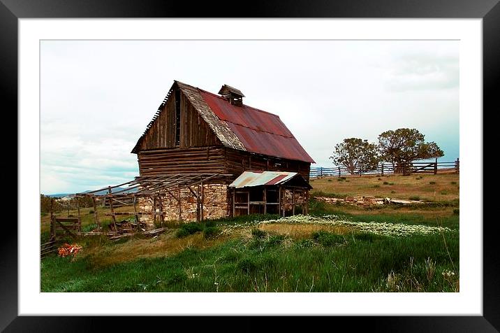 Mountain Spring House Framed Mounted Print by Patti Barrett