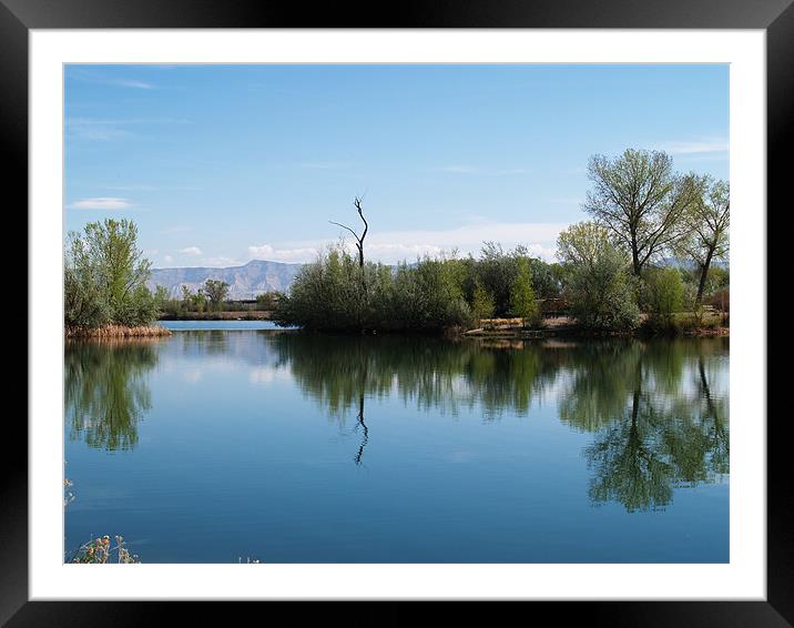 Causway refection Framed Mounted Print by Patti Barrett