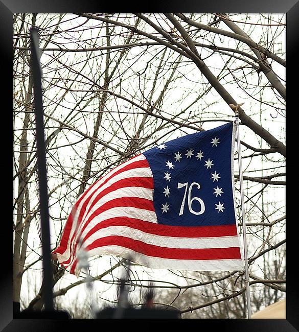 1776 Freedom Flag Framed Print by Patti Barrett