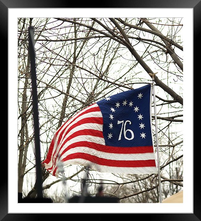1776 Freedom Flag Framed Mounted Print by Patti Barrett