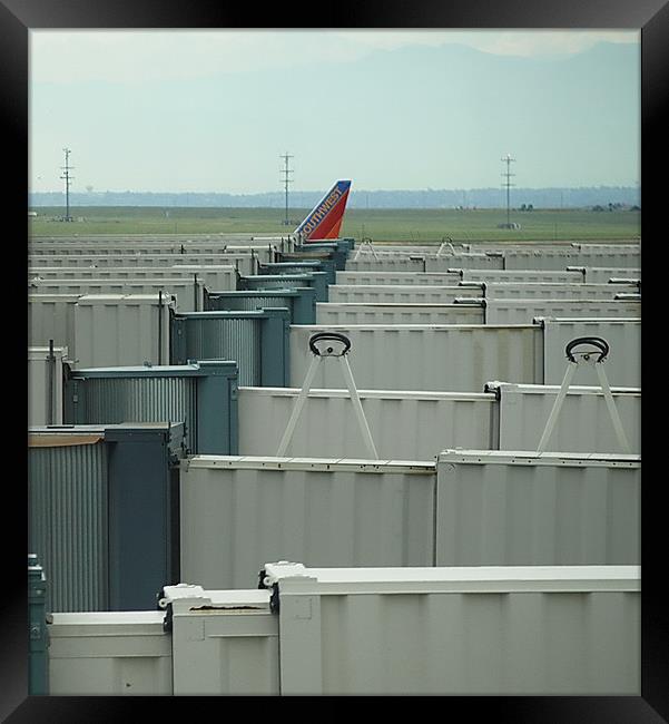 airplane tail Framed Print by Patti Barrett