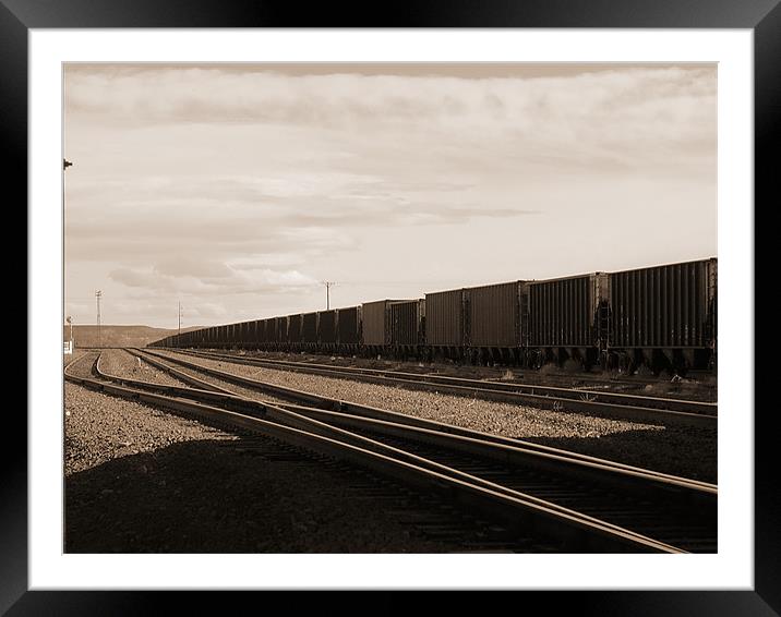 rail road tracks Framed Mounted Print by Patti Barrett