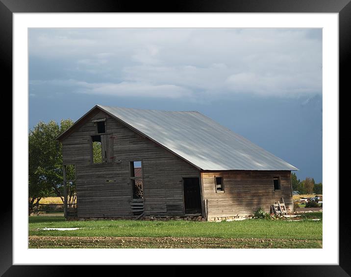 Homestead house Framed Mounted Print by Patti Barrett