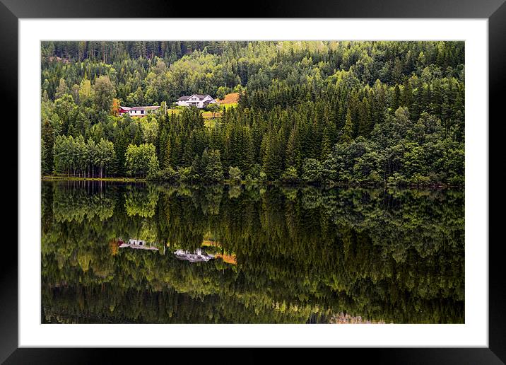 Reflected nature Framed Mounted Print by Cristian Mihaila