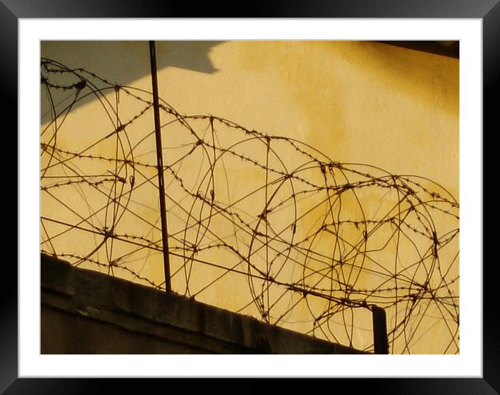 Yellow light barbed wall Framed Mounted Print by Benoit Charon