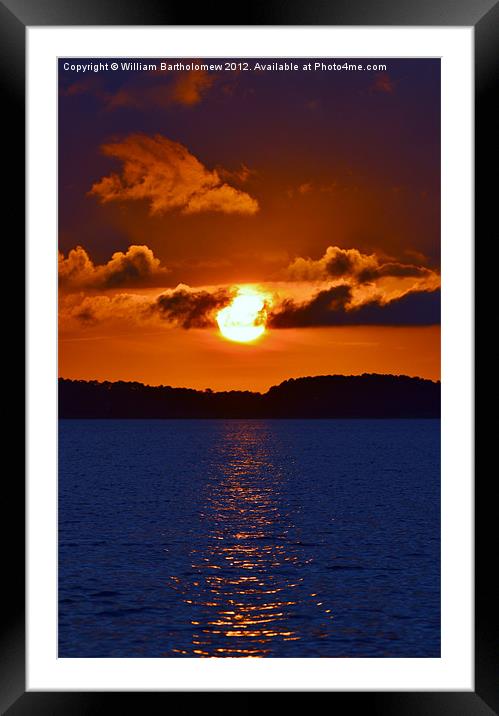Deep Color Framed Mounted Print by Beach Bum Pics