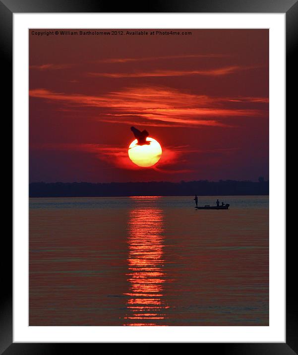 Sunset Fishing Framed Mounted Print by Beach Bum Pics