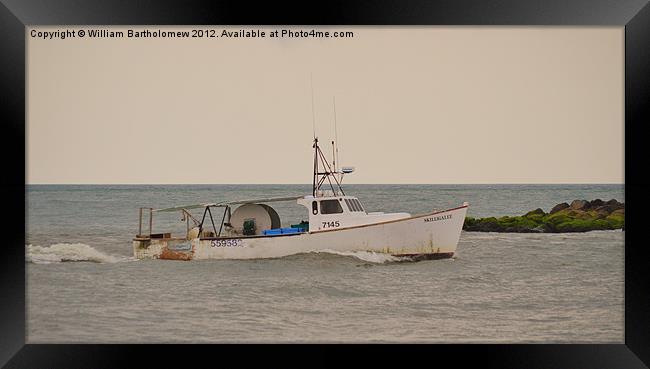 Bringing in the Catch Framed Print by Beach Bum Pics