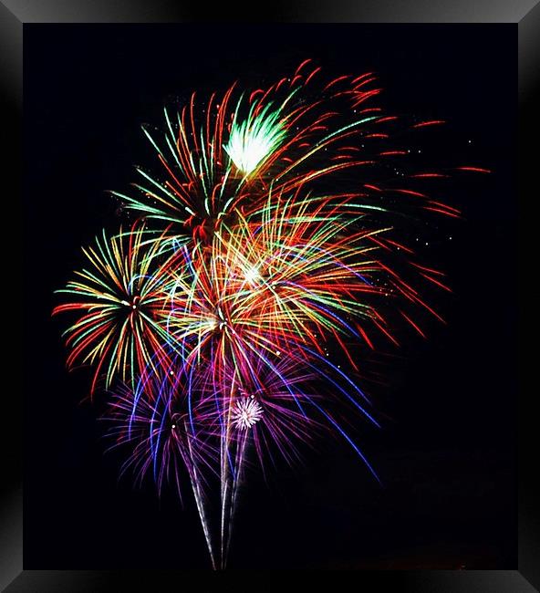 Fireworks Across the Bay Framed Print by Beach Bum Pics