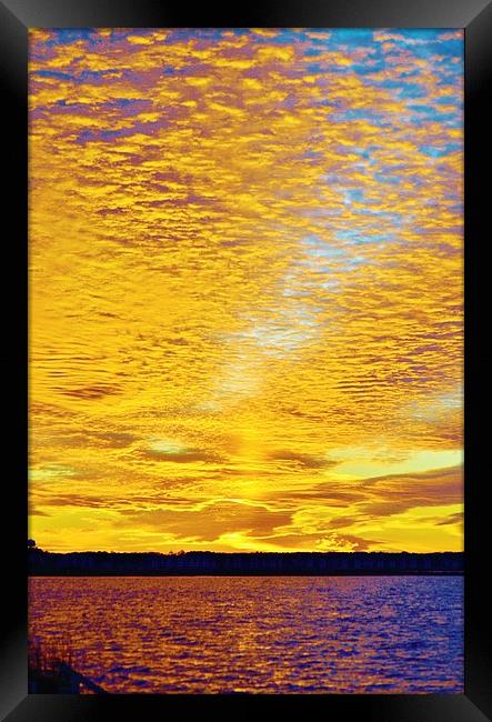 Golden Sunset Framed Print by Beach Bum Pics