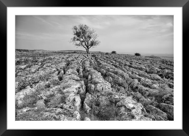 Chasing Pavements Framed Mounted Print by Jed Pearson