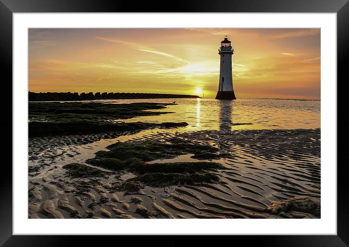 Golden Hour Framed Mounted Print by Jed Pearson