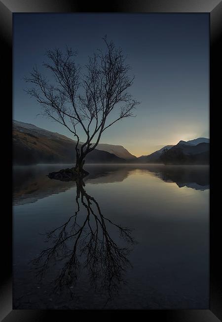  The Lone Tree Framed Print by Jed Pearson