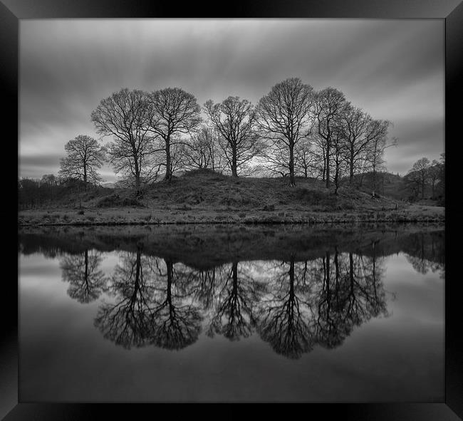 Elterwater Trees  Framed Print by Jed Pearson