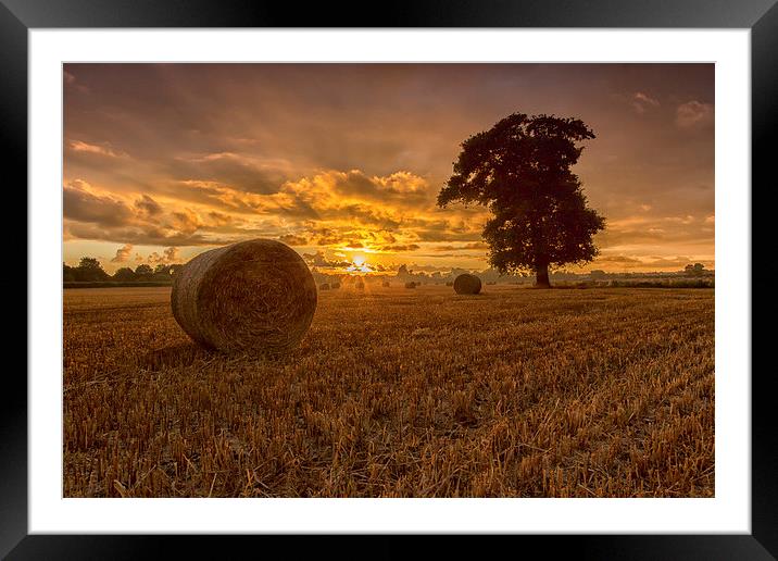  Shredded Wheat Framed Mounted Print by Jed Pearson