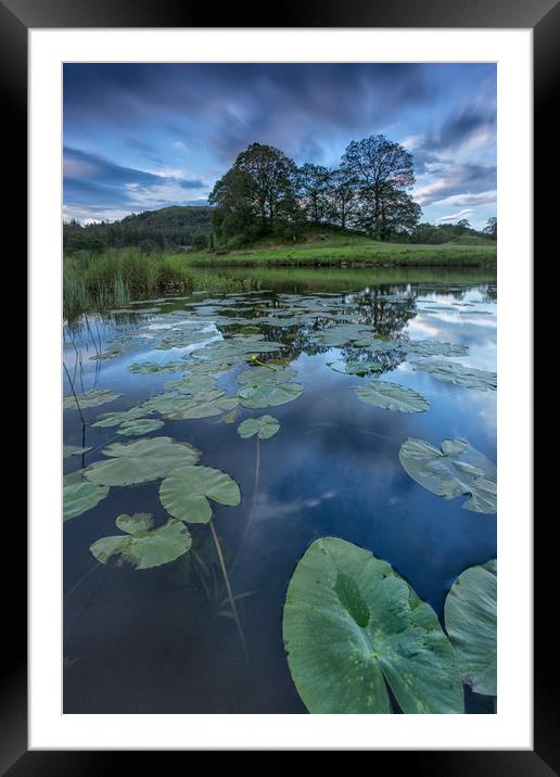 Lily pads and reflections Framed Mounted Print by Jed Pearson