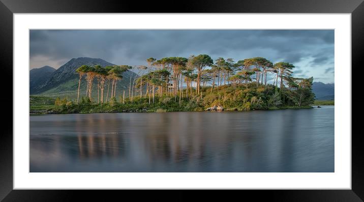 Side Light At Sunset Framed Mounted Print by Jed Pearson