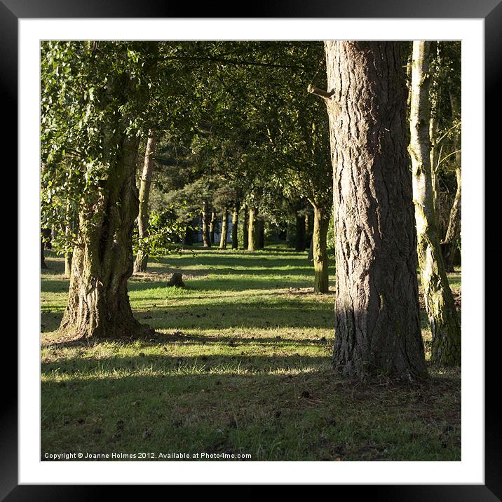 A Walk In The Woods Framed Mounted Print by Joanne Holmes