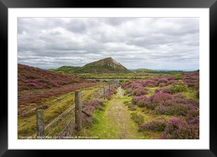 Cornish Clay District path Framed Mounted Print by Roger Fleet